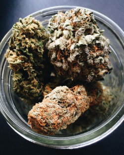 Marijuana Daily