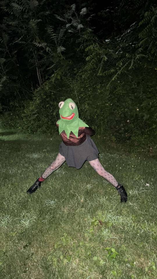 Tumblr media