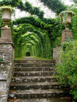 fuckyeah1on1:  Birr Castle Gardens in Co. Offaly,Ireland (by lisa.dukart).   //  // ]]>