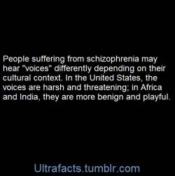 ultrafacts:  People suffering from schizophrenia may hear “voices” – auditory hallucinations – differently depending on their cultural context, according to new Stanford research.In the United States, the voices are harsher, and in Africa and