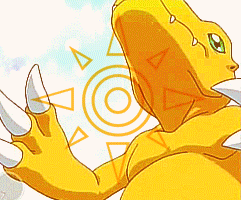 アローラの パウワウ