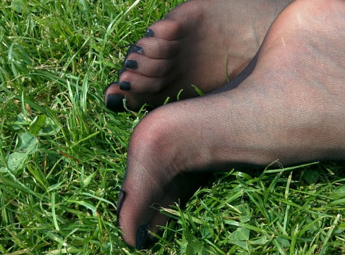 footsiepattes: The Sun, at least, will never die.