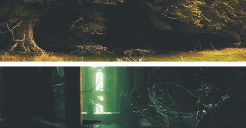 caeldre:  The Hobbit: Desolation of Smaug Scenery 