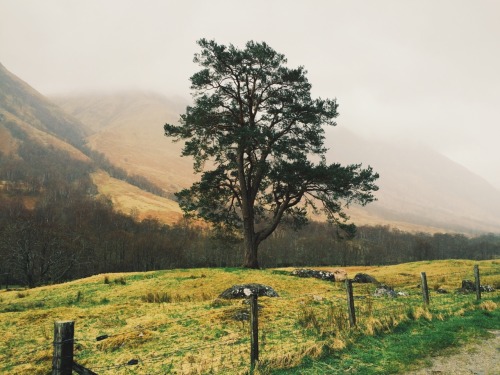 dpcphotography:  Glen Nevis, Scotland