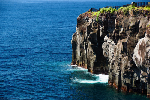 Narai-Kake Cliffs (Jogasaki Coast, Izu Peninsula, Shizuoka Prefecture, Japan) Morning light bathes t