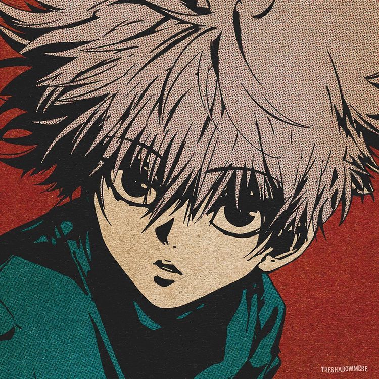 Killua Zoldyck, Professional Profile