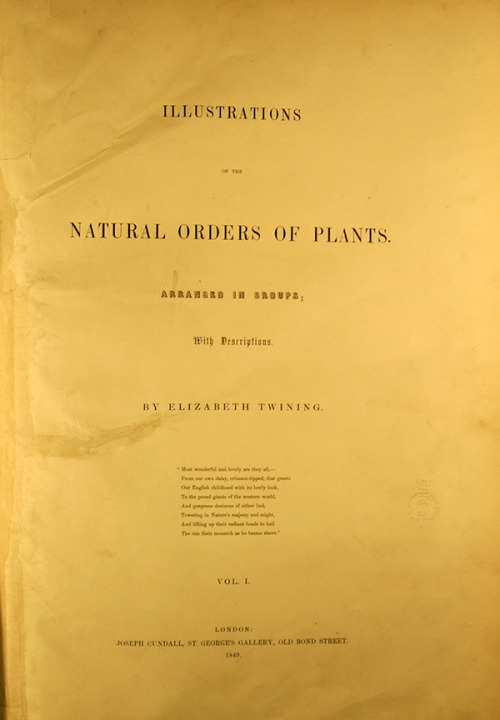 ri-science: Elizabeth Twining’s beautiful illustrations, for Fascination of Plants Day.Elizabeth Twi