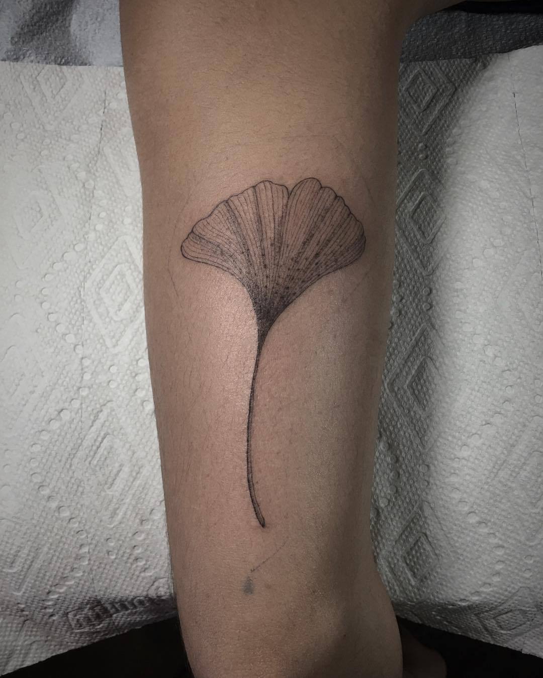 Wildflowers  Fine Line Tattoo on Instagram Ginko leaves for Caitlin   ginkotattoo ginkotree ginkoleaves treebranch leaftattoo  illustrativetattoo botanicalillustration
