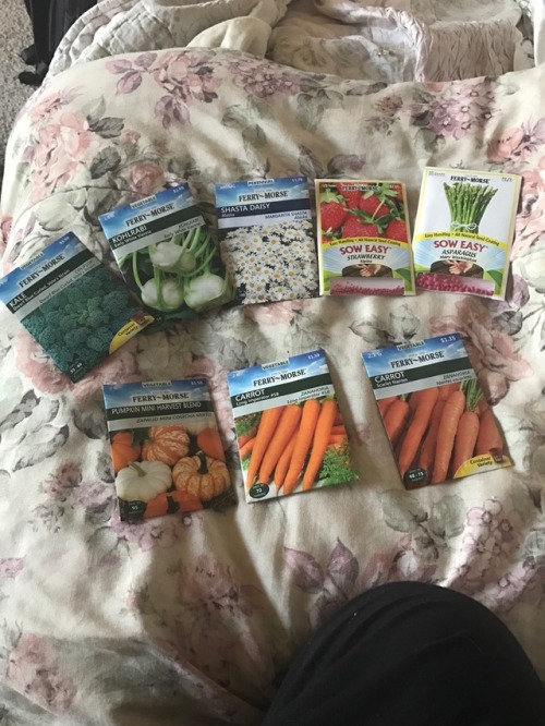 radicalgardener: the seed collection for this growing season!! the last of the snow is melting outsi