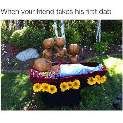 empire420:  After introducing a friend to the wonderful world of concentrates