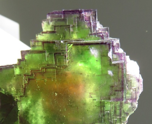 bijoux-et-mineraux:Rainbow Fluorite -  Bergmännisch Glück Mine, Frohnau, Erzgebirge, Saxony, German