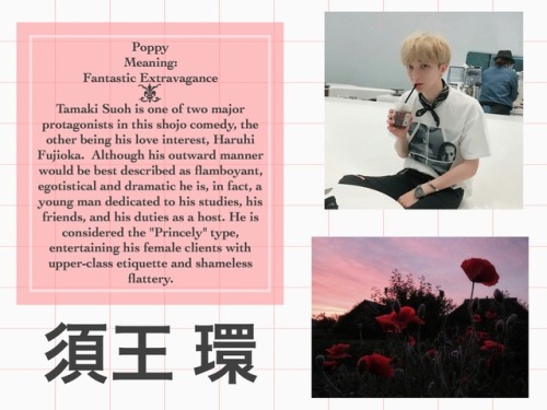 Ouran as told by the language of flowerslan·guage of flow·ersnouna set of symbolic meanings attached