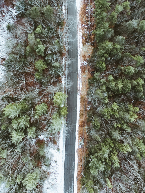 Mount Agamenticus from the air.