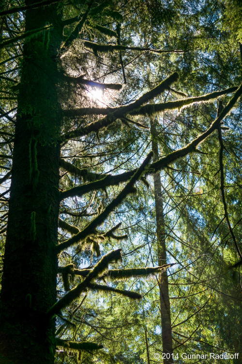 8.7.2014 - day 6 on the West Coast Trail - the final stretch of the trail towards Port Renfrew. So b