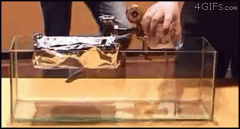 smilesandvials:  lightbulbblog:  xysciences:  Sulphur Hexaflouride is much denser