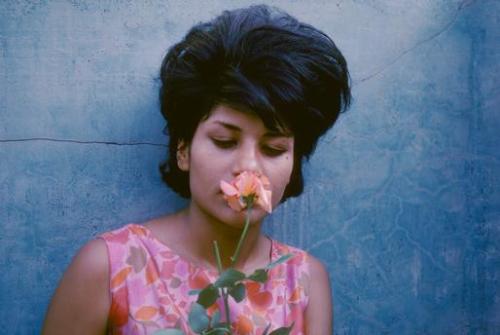 lindazahra:IRAN Shiraz young girl with a rose 1964 Roland et Sabrina MICHAUD 