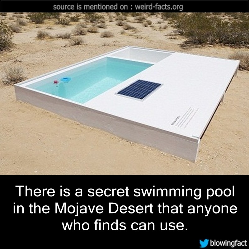 mindblowingfactz:    There is a secret swimming pool in the Mojave Desert that anyone