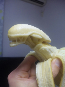 nikkiswings:  archiemcphee:  These awesome banana carvings are the work of Japanese artist Keisuke Yamada, an electrician by trade and banana sculptor in his spare time. These detailed works of edible art are all the more impressive because they must