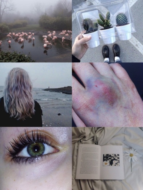 ~ Modern Fae Aesthetic ~