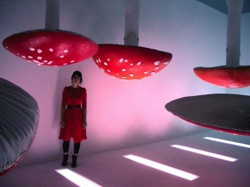 mymodernmet: Scientist-turned-artist Carsten Holler’s brilliant Upside Down Mushroom