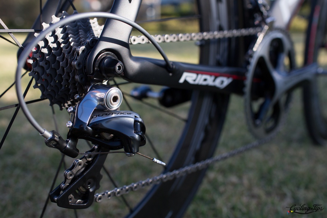 faustobocchi:  Ridley Noah.