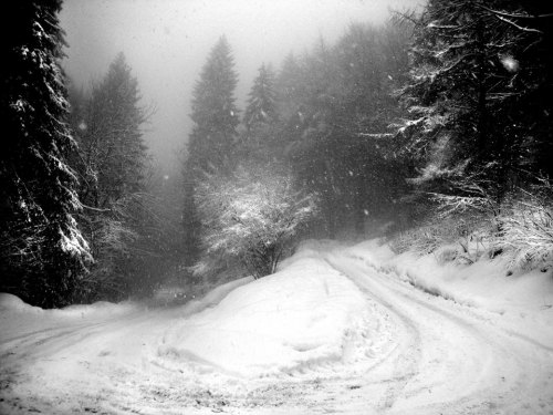steamedeggsblog - Untitled