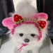 candydollita:tis is me🎀🍓🐶