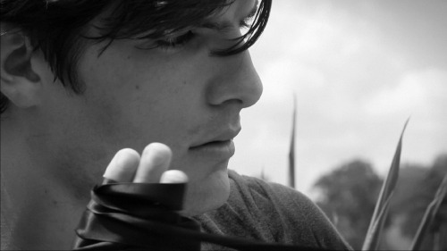 penguinteen:   *fans self* The 8 steamiest stills from the BLOOD AND SALT trailer. Look out for the 