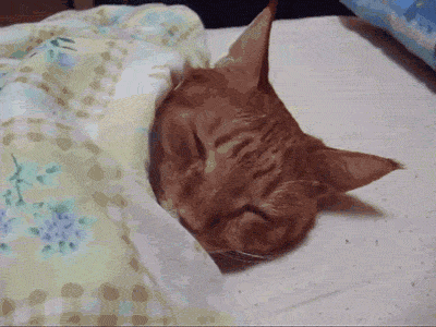leoat:  1429975960952.gif