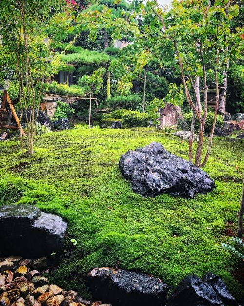 丸茂旅館庭園 [ 鳥取県鳥取市 ] ② Marumo Ryokan Garden, Tottori ーーJR鳥取駅から徒歩７分。大正時代創業の温泉旅館の苔の美しい庭園。源泉かけ流しの温泉“YUBUNE