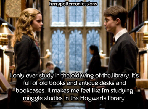 harrypotterconfessions:  I only ever study in the old wing of the library. It’s full of old books and antique desks and bookcases. It makes me feel like I’m studying muggle studies in the Hogwarts library.