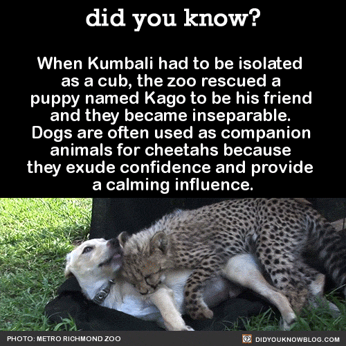 did-you-kno:          Source 