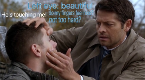 angrysouffle:  Suspicious Screencaps Everything Is Fine.