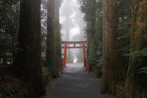 quiet-nymph:    Photography © Tokyo Views   