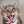 goodgrammaritan:Bumi#mood