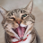 goodgrammaritan:Bumi#mood