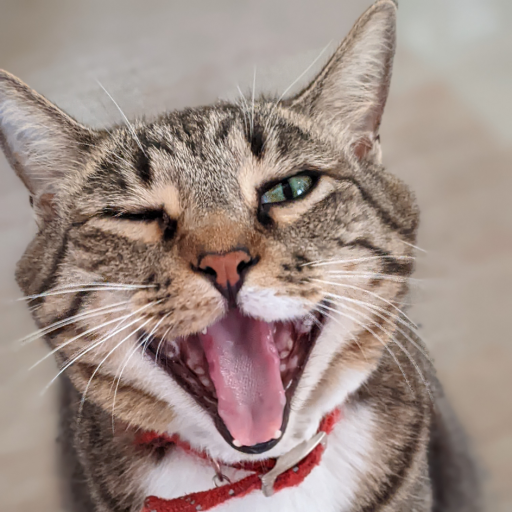 goodgrammaritan:Bumi#mood