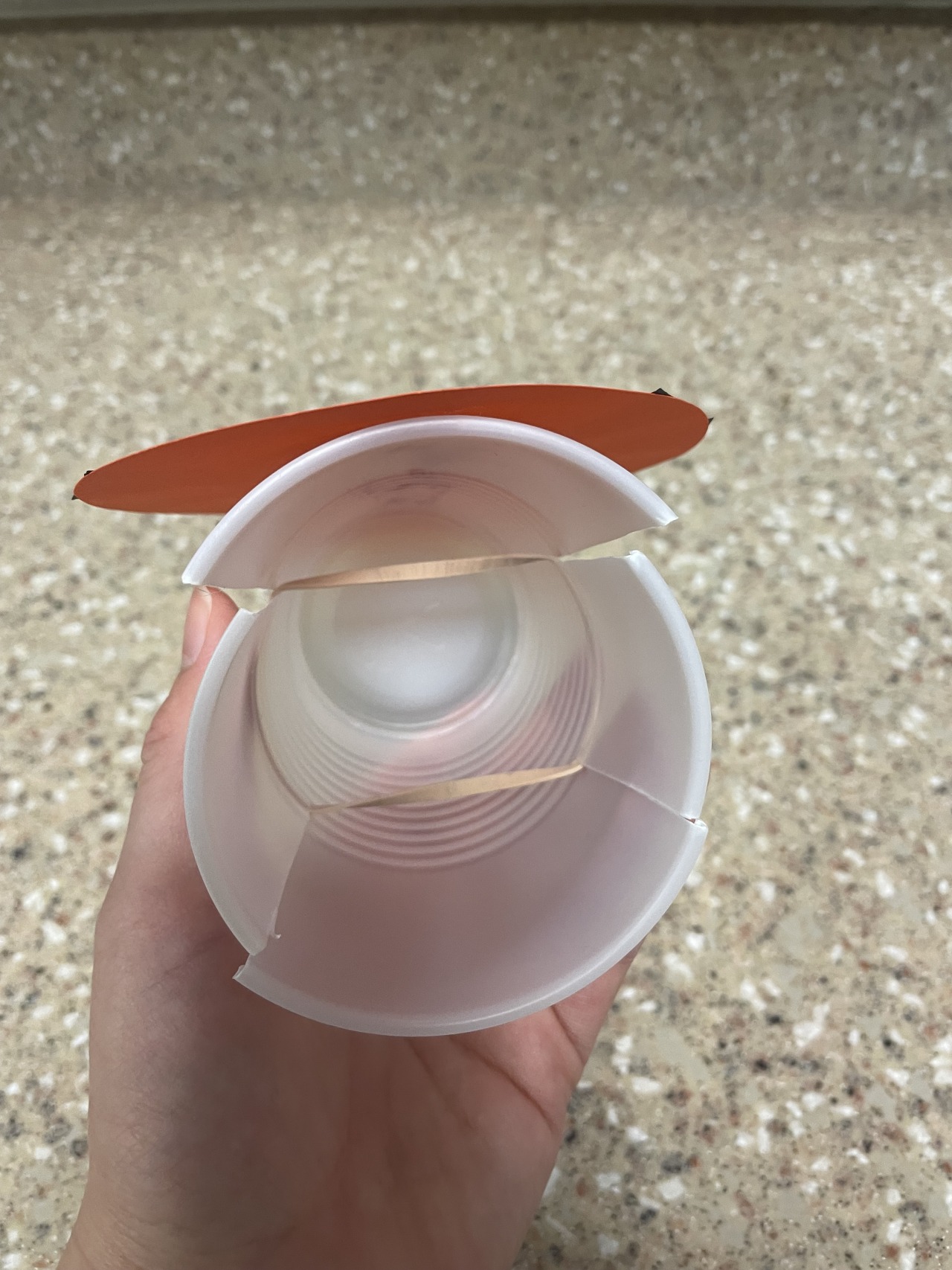 The plastic cup with cuts and rubber bands show from above the cup's opening