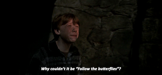 movie-gifs:  Harry Potter and the Chamber of Secrets (2002) dir. Chris Columbus