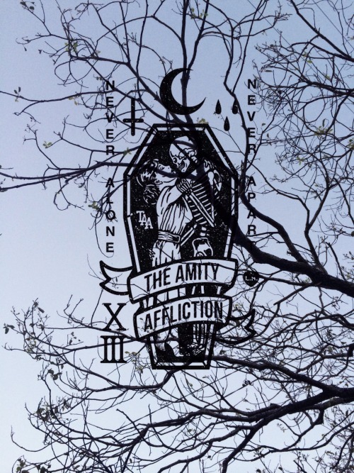 spannie:  My image/my edit/logo artwork by The Amity Affliction.