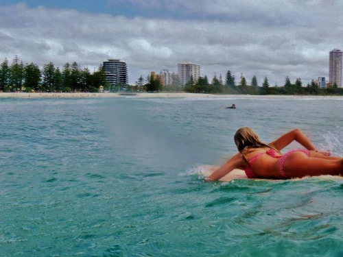 surferboianddollbaby:    