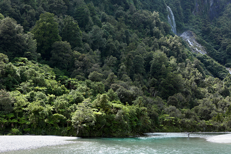 New Zealand…A Trout Anglers Shangri La
We all know there is no shortage of water on this planet. Amongst ALL the water, we as fly anglers steer our vision in the direction of water playing home to fish we can hope to attract with a fly. When it comes...