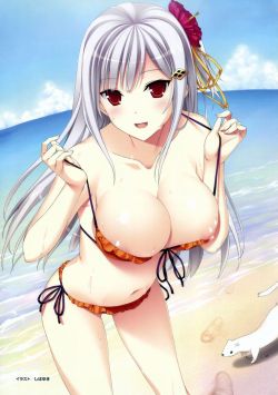 onepenny1:  まったり二次元エロ画像ブログ 【水着】海を彩るセクシービキニ姿の二次元美少女【二次エロ画像】 