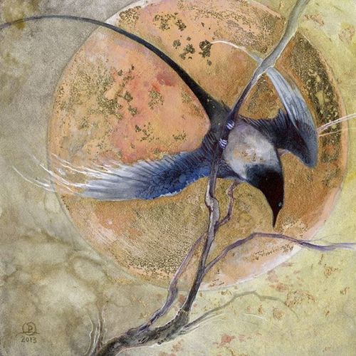 shadowscapes-stephlaw:One of my favorite magpie pieces, from my Magpie series a few years ago. This 