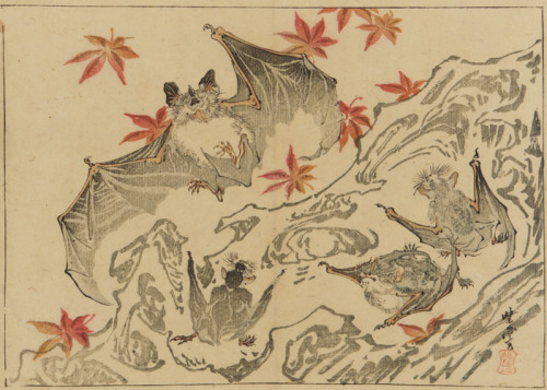 Kawanabe Kyōsai aka 河鍋 暁斎 (Japanese, 1831-1889, b. Koga, Japan) - Bat, 1868-1889  Meiji Era Woo