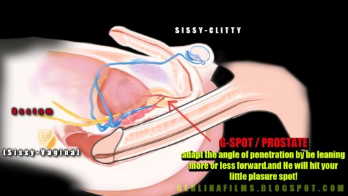 Sex pranatihoney:  This is how it happens… pictures