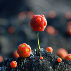 jedavu:    An Alien Planet of Candy-like Rocks and Plants by David Brodeur     As part of his Celestial Series, Chicago-based digital artist David Brodeur rendered an alien world filled with berry-like plants, glowing crystals, and candy shaped orbs that