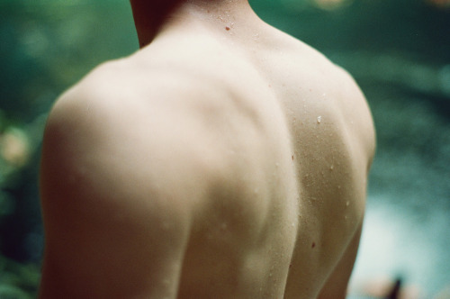 ragged-wo0d:  schankyou:  (by Dear Pao,)  Aah backs are so beautiful 