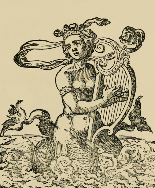 clawmarks:Kunstbüchlin - Jost Amman - 1599 - via Internet Archive