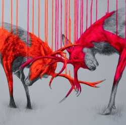 darksilenceinsuburbia:  Louise McNaught. Wild Times, 2012. Acrylic, spray paint and pencil on linen, 60 x 60 x 4 cm. Drops of Jupiter, 2013. Acrylic and metallic paint on canvas, 60 x 60 x 4 cm.   http://cargocollective.com/louisemcnaught/